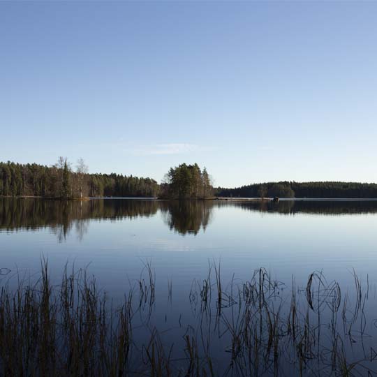 Suomalainen järvimaisema. Kuva: Elina Joensuu